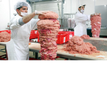 MANKE KAGE