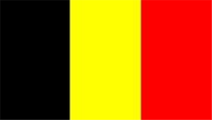 Belgium Flag Roblox decal