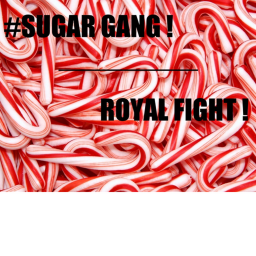 #SUGAR GANG | ROYAL FIGHT !
