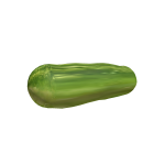 Cucumber