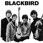bIackbird Group Thumbnail