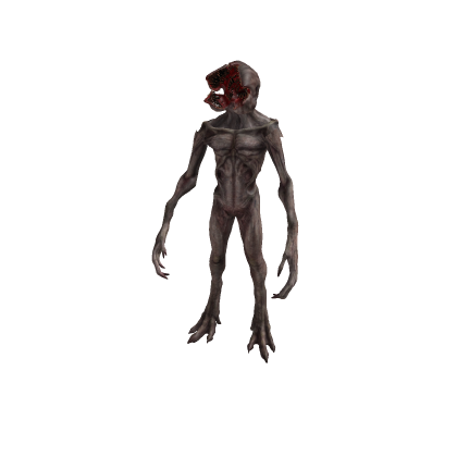 ImportedCustomRig