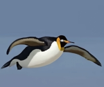 Flying penguins.