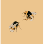 (!Bee Shine!)