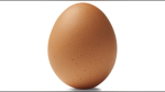 EggYolk Studios
