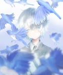 icybird