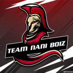 Team Nani Boiz