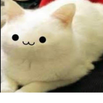 Huhuhuhuhuhuhuhuhuhuhuhu