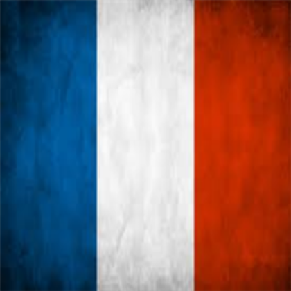 France Flag Roblox decal