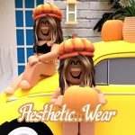 Aesthetic..Wear