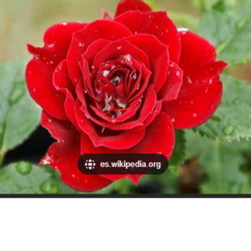 Relax place to chill and do what you want!