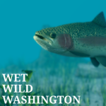 Wild Wet Washington