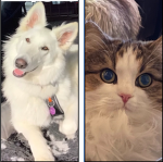 Delta and Zelda’s crew