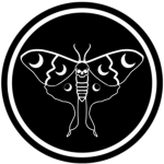 Mantis Oddities