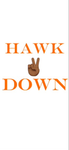 HawkDownElite