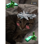 coolbeanW
