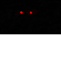 CEASERRRRRRRRRR NOOOOOOOOOOOOOOOOOOO