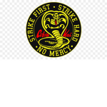 Cobra Kai UK
