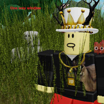 NEW MAP! the one side window