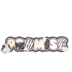 Promsie
