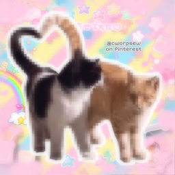 🐾