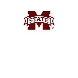 Mississippi State Stadium