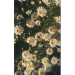 ~florecer~