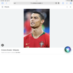 Ronaldo group cr