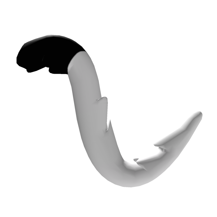 White and Black Cat Tail