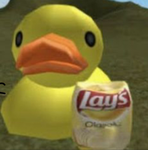 Patito lays