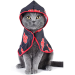 Cat Ninjas!