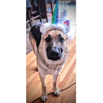 Nanooo