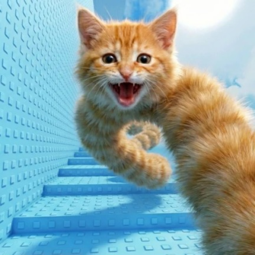 Jump Into Ay Mi Gatito