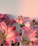 Aesthetic group and Danni’s group