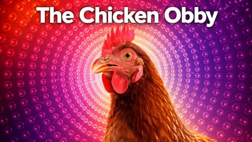 El pollo Obby