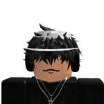 vynz assets
