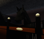 Blossom Wood Stables