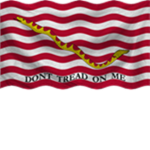 Continental   Navy