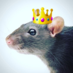 Rat Gods peasents