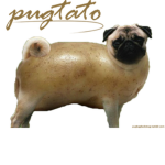 pug and ta tor group