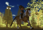 LL Academy