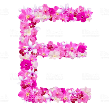 Letter E