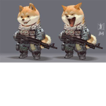 Doges united military
