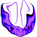 DvN Fan Group