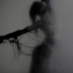 Lily:)100972