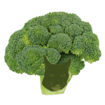 veggie coco cult