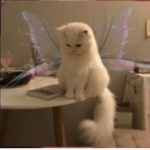 “Angels„