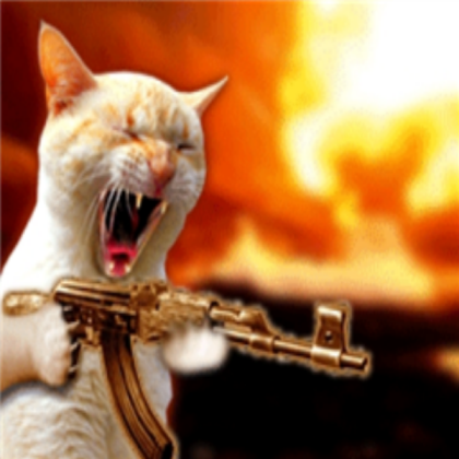 Funny Cat Roblox decal