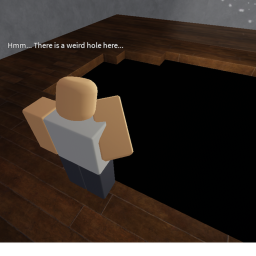 There is a weird hole in my house