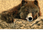 Bear_Squad <3